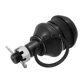 বল নোয়া জন্য যৌথ